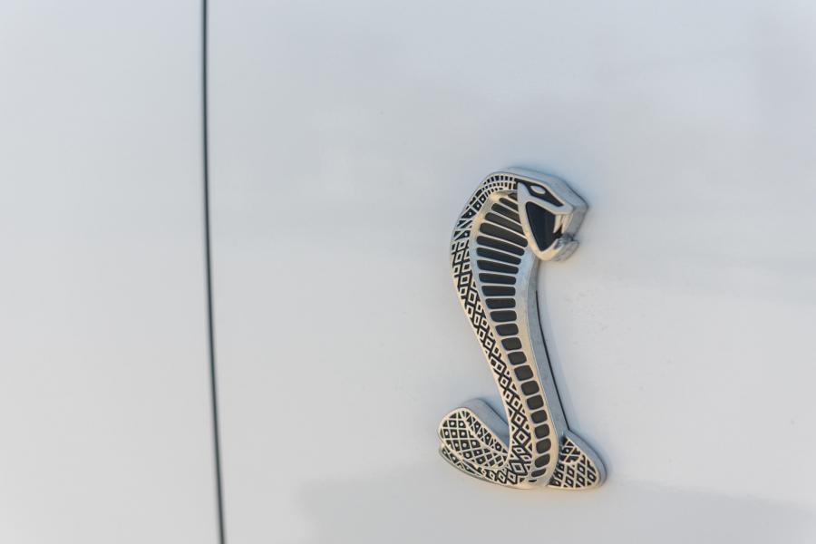 Логотип Shelby GT500 2007 года  (фото 46 из 128)
